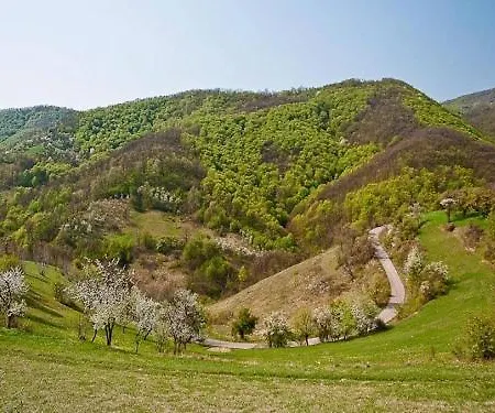 Homoljska Idila1 Banja Zdrelo Villa